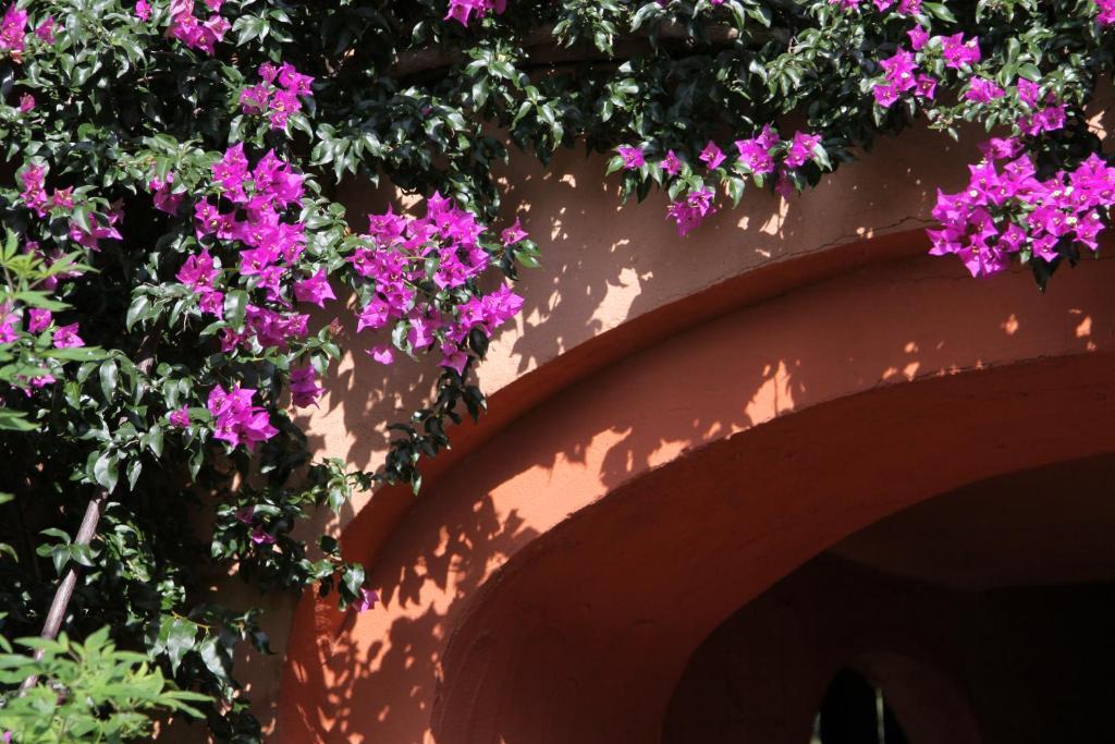 Hotel Castell'Verde Порто-Веккьо Экстерьер фото
